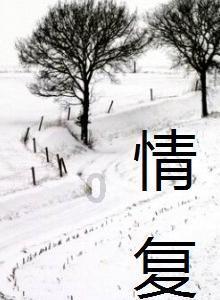 梦想的后院